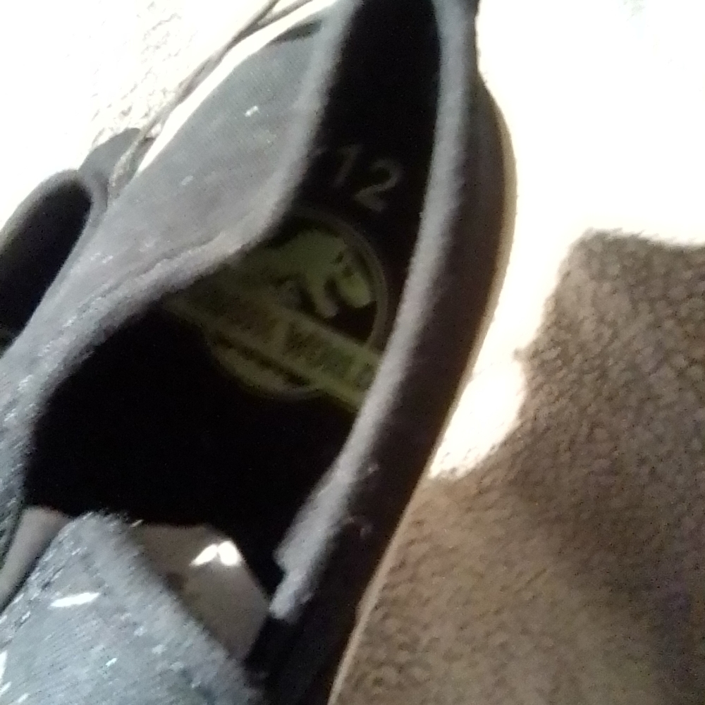 T-rex size12 - Picture 2 of 2